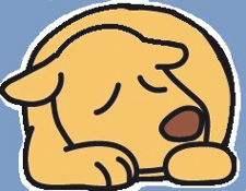 愛犬の健康問題